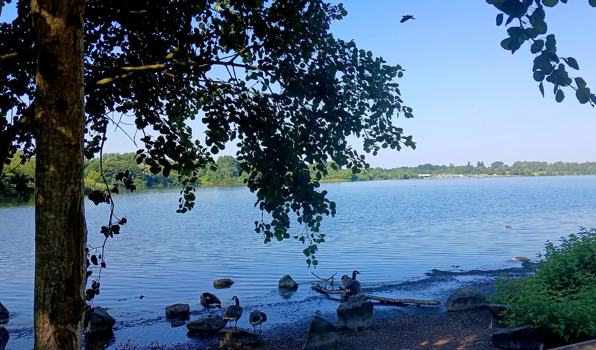 johnwxxiv's tweet photo. #Penningtonflash this morning #nationalnaturereserve #leigh #johnwswalks https://t.co/wH5bNtYftA