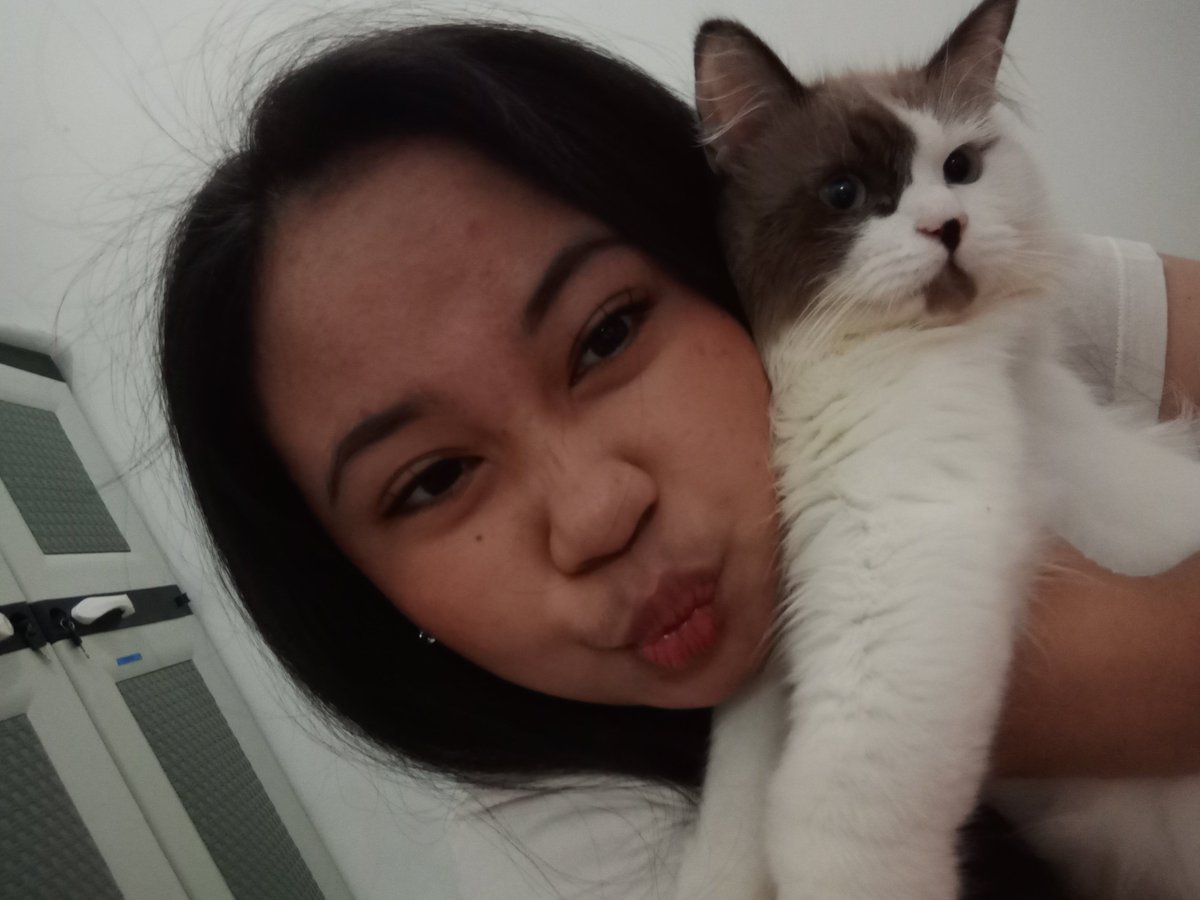 vocadovies's tweet photo. punya nya ini kak, sama sama putih kok kita https://t.co/Apj4uRDe8C