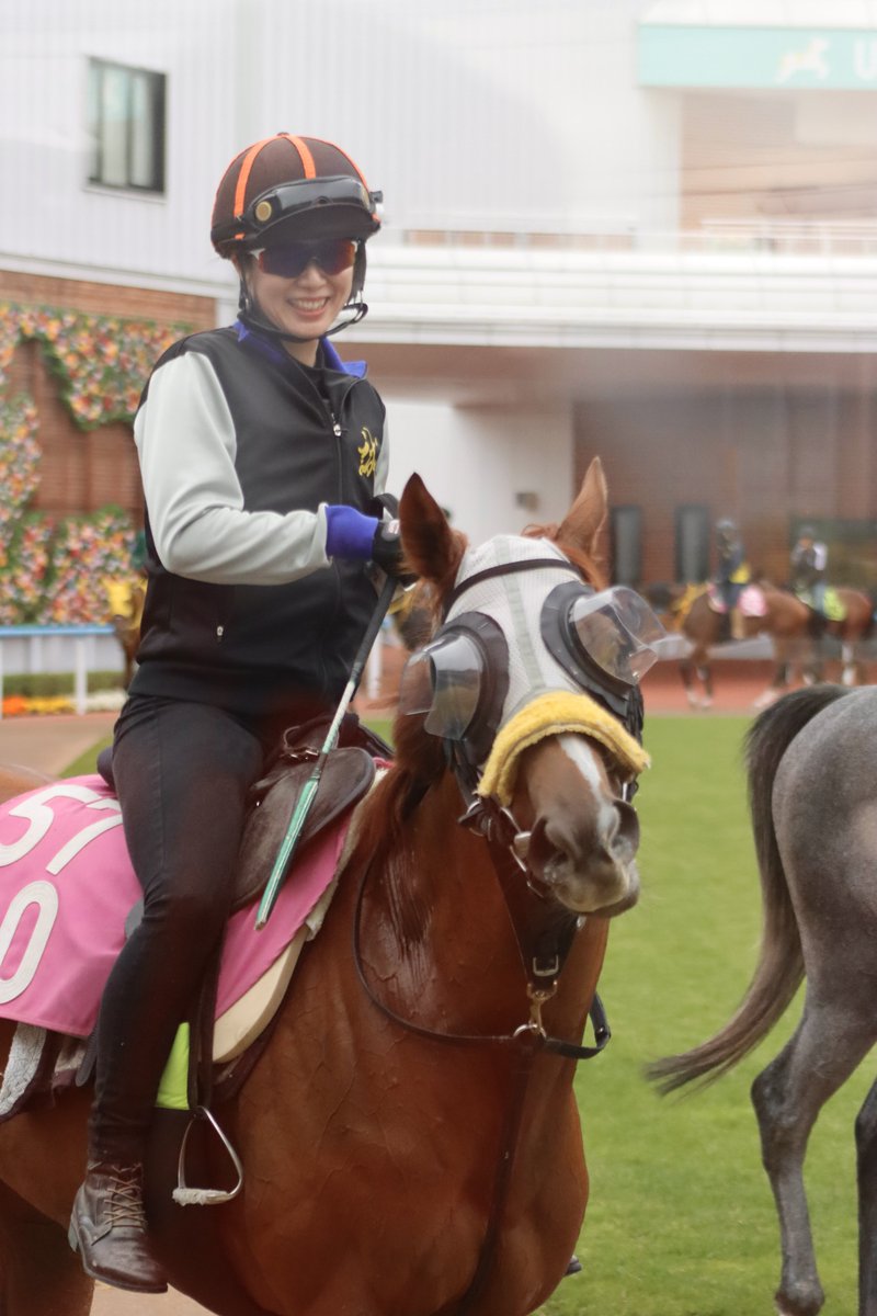 yonerui310's tweet photo. 函館競馬場 2026.7.8

清水久詞厩舎 コサージュ

 #函館競馬場 
 #清水久詞厩舎 
 #コサージュ
 #ノーザンファーム https://t.co/LhR3ONky4N