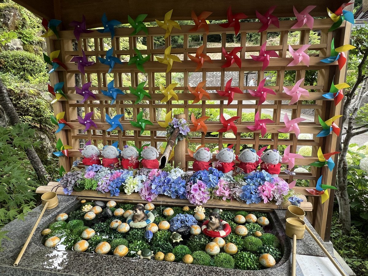 reechoral's tweet photo. 市内に「小田神社」⛩️があるとのことで、行ってきました❣️
ほんとに小田（鹿島）神社⛩️小田さんにあやかり階段を登って参拝しました✨

近くに紫陽花のステキなお寺もあり癒されました。 https://t.co/VcTdKahvJL