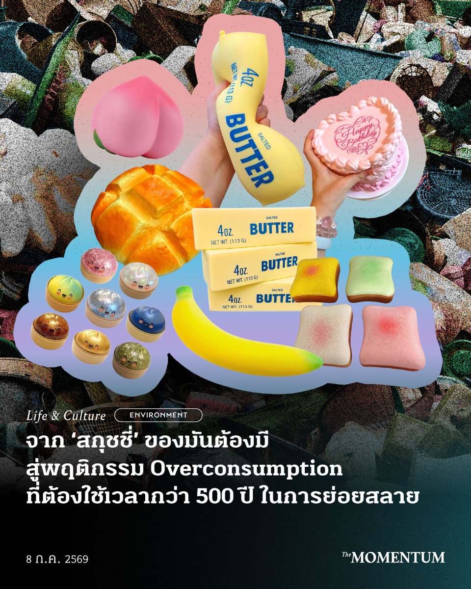 themomentumco's tweet photo. จาก ‘สกุชชี่’ ของมันต้องมี สู่พฤติกรรม Overconsumption ที่ต้องใช้เวลากว่า 500 ปี ในการย่อยสลาย

ช่วงนี้ไม่ว่าจะมองไปทางซ้ายหรือขวาก็มีแต่ ‘สกุชชี่’ (Squishy) เต็มไปหมด ของเล่นที่บีบแล้วคลายตัวคืนแบบสโลว์ (Slow Rising) กลับมาฮิตอีกครั้ง จนทำให้ใครหลายคนต้องออกตามหาสกุชชี่มาครอบครอง รวมถึงตัวผู้เขียนที่เคยไปตามหาถึงสำเพ็งมาแล้วเช่นกัน

สกุชชี่ ของเล่นหน้าตาน่ารัก หลากหลายรูปทรง มีกลิ่นหอมหวานเหมือนขนม มาจากคำภาษาอังกฤษว่า ‘Squish’ ที่แปลว่า การบีบ หรือของนุ่มนิ่มที่บีบได้ เพราะสกุชชี่ทำมาจากวัสดุประเภทโพลียูรีเทนโฟม (Polyurethane Foam: PU Foam) ที่มีความยืดหยุ่นสูง ทำให้เวลาบีบแล้วจะคลายตัวคืนแบบช้าๆ ยิ่งช้าเท่าไร ยิ่งเพิ่มอรรถรสในการเล่นให้ฟินมากขึ้น

ก่อนหน้านี้ สกุชชี่เป็นของเล่นสำหรับเด็กที่ช่วงหนึ่งต้องมีไว้บีบเล่นหรือสะสม แต่ตอนนี้สกุชชี่กลายเป็นของเล่นที่ครองใจเหล่า GEN Y ตอนปลาย และ GEN Z ตอนต้น ที่นำมาบีบเล่นเพื่อคลายเครียดจากการทำงาน

• จากวลี ‘ของมันต้องมี’ สู่พฤติกรรม Overconsumption

จากกระแสความนิยมของสกุชชี่ และการเข้ามาของสื่อโซเชียลมีเดีย เช่น TikTok, Facebook หรือ Instagram ซึ่งกลายเป็นแรงขับเคลื่อนสำคัญที่ทำให้สกุชชี่ได้รับความนิยมมากขึ้น ไม่ว่าจะเป็นคลิป ASMR บีบสกุชชี่ หรือคลิป Unbox ที่มียอดเข้าชมจำนวนมหาศาล

เมื่อคอนเทนต์เหล่านี้ถูกเผยแพร่ซ้ำแล้วซ้ำเล่า จากของเล่นธรรมดา ก็กลายเป็นของตามกระแสที่ทุกคนอยากได้อยากมีเหมือนกับคนอื่นๆ เพื่อไม่ให้ตกเทรนด์ จนเกิดเป็นภาวะ ‘FOMO’ (Fear Of Missing Out) และปรากฏการณ์ ‘ห้องแห่งเสียงสะท้อน’ (Echo Chamber) ที่อธิบายถึงสถานการณ์ที่ผู้คนอยู่ในพื้นที่เดียวกัน ซึ่งก็คือโลกอินเทอร์เน็ต มักเห็นและเลือกที่จะชอบสิ่งเดียวกัน นำไปสู่การถูกขังอยู่ในกะลาของตัวเอง

นอกจากนี้ เมื่อเรากดไลก์หรือใช้เวลากับคลิปเหล่านั้นมากเป็นพิเศษ อัลกอริทึมก็จะเริ่มนำสิ่งที่เราสนใจกลับมาปรากฏบนหน้าฟีดทุกวัน ทำให้เรารู้สึกว่าทุกคนกำลังเล่นสกุชชี่ แม้ในความจริงแล้ว มันอาจจะเป็นเพียงแค่สิ่งที่อัลกอริทึมเลือกมาให้

จากทั้งหลายทั้งปวงที่พูดกันมาก่อนหน้านี้ ก่อให้เกิดวลี ‘ของมันต้องมี’ ซึ่งเป็นส่วนหนึ่งของ แนวคิดบริโภคนิยม (Consumerism) นั่นคือ ค่านิยมที่ให้ความสำคัญกับการซื้อสินค้าและบริการ จนกลายเป็นเครื่องวัดความสุขและกำหนดคุณค่าของชีวิต โดยมักจะเป็นการบริโภคที่เกินความจำเป็นพื้นฐาน ที่นำไปสู่การซื้อของใหม่ๆ อย่างไม่มีที่สิ้นสุด

ยิ่งในบริบทปัจจุบัน สังคมถูกออกแบบมาเพื่อกระตุ้นการบริโภคอยู่ตลอดเวลา โดยมีระบบทุนนิยมและเทคโนโลยีเป็นตัวแปรสำคัญ ทำให้ผู้คนเข้าถึงสินค้าและบริการได้ง่ายและรวดเร็วกว่าที่เคย ชีวิตประจำวันของเราจึงเต็มไปด้วยโฆษณาสินค้า โปรโมชันลดราคา หรือคลิปรีวิวปักตระกร้าของเหล่าอินฟลูเอนเซอร์ ปรากฏบนหน้าจอเกือบตลอด 24 ชั่วโมง

ทั้งหมดนี้ ถูกพัฒนากลายเป็นแนวคิด ‘บริโภคนิยมแบบสุดโต่ง’ (Hyperconsumerism) ซึ่งหมายถึง การที่สังคมมองว่าการบริโภคไม่ได้ตอบสนองเพียงความจำเป็น แต่ยังถูกใช้ในการเพิ่มสถานะทางสังคม หรือสร้างตัวตนบนโลกอินเทอร์เน็ต

เช่นเดียวกับกระแสสกุชชี่ในปัจจุบัน ที่แต่ละคนไม่ได้ซื้อเพียง 1-2 ชิ้น เพื่อเล่นหรือเอาไว้บีบคลายเครียดอีกต่อไป แต่ยังสะสมอีกหลายสิบชิ้น และยังต้องคอยติดตามคอลเลกชันใหม่ เพื่อนำมาทำคอนเทนต์ตามกระแสโซเชียลฯ อีกด้วย

พฤติกรรมดังกล่าวนำไปสู่ปัญหาใหญ่อย่าง ‘การบริโภคเกินความจำเป็น’ (Overconsumption) นั่นคือ การซื้อสินค้าที่เกินความต้องการ ซึ่งไม่เพียงสร้างภาระแก่ผู้บริโภคเท่านั้น แต่ยังส่งผลให้เกิดการใช้ทรัพยากรเป็นจำนวนมาก ที่อาจส่งผลกระทบถึงสิ่งแวดล้อมในระยะยาว

สิ่งหนึ่งที่สะท้อนพฤติกรรมการบริโภคเกินความจำเป็นได้อย่างดี คือคอนเทนต์จากอินฟลูเอนเซอร์ชื่อดังคนหนึ่งที่ซื้อสกุชชี่ 1,000 ชิ้น จนกลายเป็นไวรัลบน TikTok ทำให้เกิดกระแสวิพากษ์วิจารณ์ต่อวัฒนธรรมการบริโภคที่เกินความจำเป็นของคนในยุคนี้

จากคอนเทนต์ของเล่นน่ารักๆ อย่างสกุชชี่ สะท้อนให้เห็นพฤติกรรมผู้บริโภคที่ซื้อสินค้าเกินความจำเป็น ส่งผลให้ของเล่นเหล่านี้ค่อยๆ กลายเป็น ‘ขยะ’ ที่ส่งผลกระทบต่อสิ่งแวดล้อมในอนาคต

• Fast Toy, Long Lasting Waste

สกุชชี่เป็นของเล่นแบบ ‘Fast Toy’ มาไวไปไวตามกระแสความนิยม ทำให้ความต้องการซื้อเพิ่มขึ้นอย่างรวดเร็วและเลิกเล่นเร็วตามไปด้วย เพราะเมื่อเราบีบหรือดึงสกุชชี่ที่ทำมาจากวัสดุโฟมพียูเป็นเวลานาน พอเกิดการฉีกขาด เปื่อยยุ่ย หรือสกปรก ก็เอาไปล้างน้ำไม่ได้ ต้องทิ้งและซื้อใหม่เพียงอย่างเดียว ทำให้เกิดวงจรการสร้างขยะพลาสติกในปริมาณมาก

สำนักงานคณะกรรมการคุ้มครองผู้บริโภค (สคบ.) ยังออกมาเตือนผู้ปกครองให้ระมัดระวังการเลือกซื้อของเล่นประเภทสกุชชี่ โดยเฉพาะสินค้าลอกเลียนแบบที่ไม่มียี่ห้อและแหล่งที่มาชัดเจน หลังมีกระแสข่าวจากต่างประเทศที่พบการปนเปื้อนสารเคมีอันตรายเกินเกณฑ์มาตรฐานความปลอดภัย ซึ่งอาจส่งผลกระทบต่อสุขภาพของผู้บริโภค

ปัญหาไม่ได้จบอยู่แค่การทิ้งสกุชชี่ เพราะขั้นตอนการกำจัดนั้นยุ่งยากกว่าที่คิด สกุชชี่ไม่สามารถนำกลับมารีไซเคิลได้ ต้องกลายเป็นขยะ ‘ฝังกลบ’ ที่ย่อยสลายยาก และใช้เวลานานกว่า 500 ปี กว่าจะย่อยสลายหมดก็แตกตัว กลายเป็นไมโครพลาสติก (Microplastics) ไปเสียก่อน จะใช้วิธีการเผาก็ไม่ได้ เพราะสารโพลียูรีเทนในสกุชชี่ จะปล่อยก๊าซพิษที่เป็นอันตรายร้ายแรงต่อระบบทางเดินหายใจ เช่น ก๊าซไฮโดรเจนไซยาไนด์ (Hydrogen Cyanide) และก๊าซคาร์บอนมอนอกไซด์ ทำให้เกิดปัญหามลพิษที่ส่งผลกระทบต่อสิ่งแวดล้อมและห่วงโซ่อาหารเป็นวงกว้าง จนท้ายที่สุดอาจส่งผลกระทบต่อมนุษย์ที่เป็นผู้บริโภคเอง

• สกุชชี่ควรไปต่อ หรือพอแค่นี้?

แม้ว่าเราจะไม่สามารถเปลี่ยนพฤติกรรมการบริโภคของคนในสังคมได้ทันที แต่เราสามารถเริ่มต้นจากตัวเองได้ เช่น ซื้อเท่าที่จำเป็น ไม่ซื้อตามกระแส เลือกซื้อสินค้าที่มีมาตรฐานจากแหล่งจำหน่ายที่น่าเชื่อถือ เพื่อยืดอายุการใช้งาน

ในเมื่อมนุษย์มีเพียงแค่ 2 มือ จะให้เล่นสกุชชี่เป็นร้อยชิ้นคงจะไม่ใช่ และการเล่นสกุชชี่อาจจะไม่ใช่สิ่งที่ผิดเสมอไป ถ้าเราไม่ปล่อยให้กระแสหรืออัลกอริทึมกลายเป็น ‘กะลา’ ที่ครอบงำความคิดเราไปเสียก่อน

ท้ายที่สุดแล้ว ผู้เขียนไม่ได้ต้องการเชิญชวนให้เลิกซื้อของเล่นที่ช่วยเยียวยาจิตใจ แต่มองว่าควรเลือกซื้ออย่างมี ‘สติ’ โดยคำนึงถึงความจำเป็น ความปลอดภัย และผลกระทบต่อทั้งตัวเราและสิ่งแวดล้อม ก่อนของเล่นที่เรารัก จะกลายเป็นขยะที่จะอยู่กับเราไปอีกนับพันปี

ที่มา:
- https://t.co/QR1vNpZSp9
- https://t.co/HPugyj55uZ
- https://t.co/xGDoX6Imgr
- https://t.co/YOU7T0ze8D
- https://t.co/VTdcal1MjQ
- https://t.co/mEbA48EPsn
- https://t.co/0n1djiWAnq

เรื่อง: ญาณ์นรี พิทักษ์พรไพศาล
ภาพ: ปราโมทย์ ปิ่นศรี

#TheMomentum #Environment #สกุชชี่ #ขยะ #สิ่งแวดล้อม #Overconsumption #พฤติกรรมผู้บริโภค #ผู้บริโภค #FOMO #EchoChamber