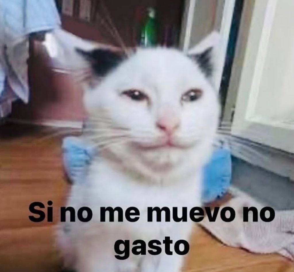 skereunpesado's tweet photo. https://t.co/fuIXQLf4w3