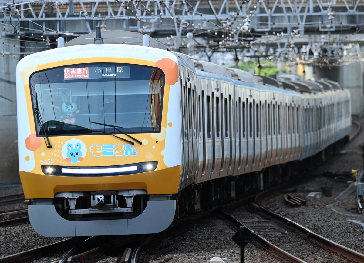 trainboy0214's tweet photo. 2026/07/08(水)
3055レ E33運用
小田急5000形5055F
快速急行 小田原行

0603レ N66･N46運用
小田急30000形30257F＋30057F(EXE)
特急 ホームウェイ3号 小田原行
「EXE就役30周年記念HM付」 https://t.co/XbCLvTAj4b