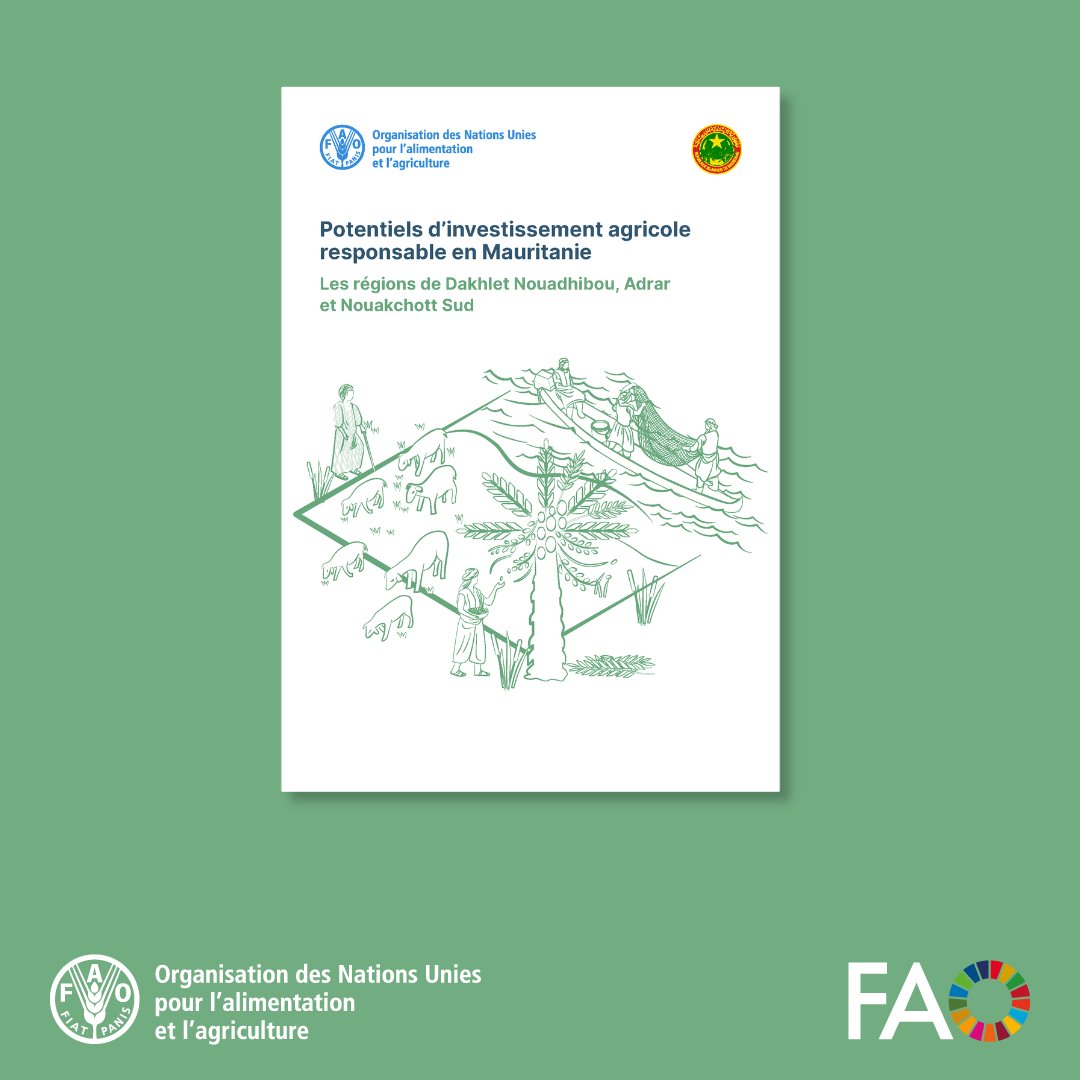 FAOenFrancais's tweet photo. Des investissements agricoles responsables peuvent créer des opportunités pour les jeunes tout en renforçant des systèmes agroalimentaires plus durables.

Découvrez cette nouvelle publication de @FAO sur les potentiels d’investissement en Mauritanie 👉 https://t.co/QWuQbH73km https://t.co/K0bTDDq04q