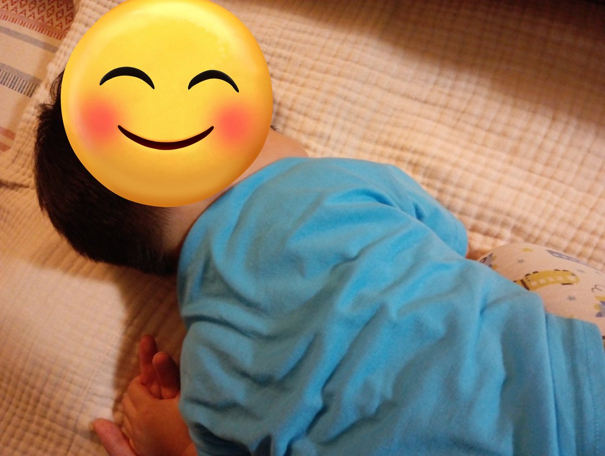 tamacomarket's tweet photo. 今日もかわいいちびた（熱早く下がりますように） https://t.co/KK8HMBmNFo