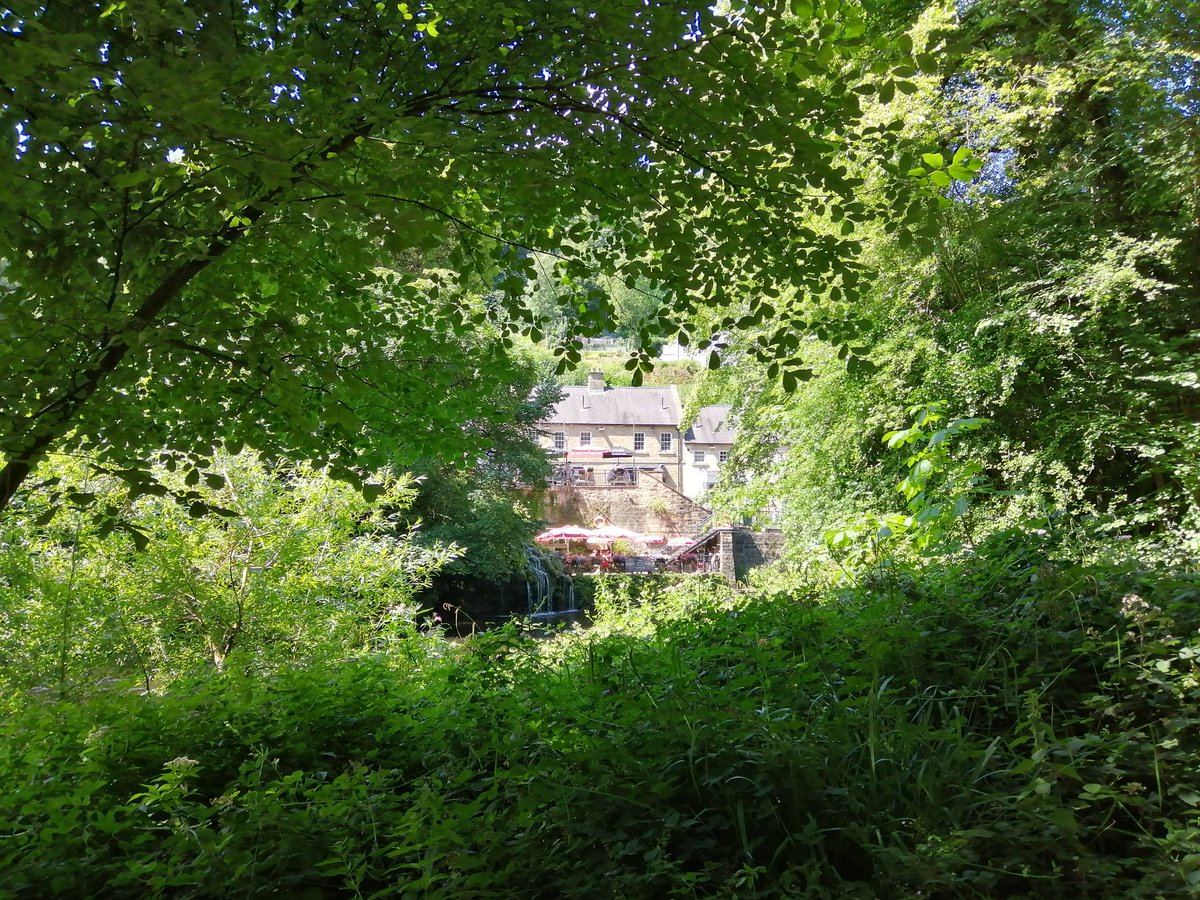 VEdiele45424's tweet photo. More of beautiful Matlock Bath 💜 https://t.co/DvbtlULASL