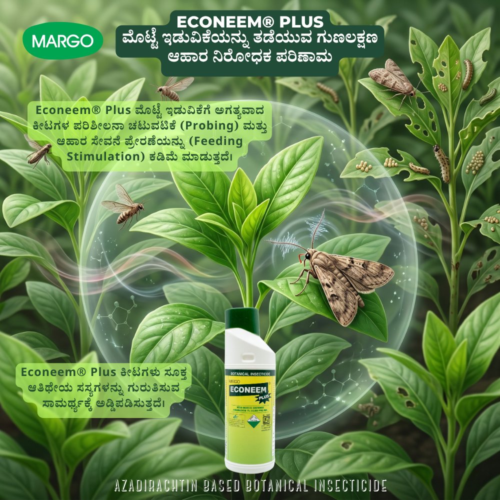 PJMARGOBIO's tweet photo. Oviposition Deterrent Property of Azadirachtin-Based Insecticides – ECONEEM® PLUS: ಮೊಟ್ಟೆ ಇಡುವಿಕೆಯನ್ನು ತಡೆಯುವ (Oviposition Deterrent) ಗುಣಲಕ್ಷಣ
#MargoBiocontrols #PJMargo #Sustainability #Biosolutions #agriculture #IPM #OVIPOSITIONDETERRENT #MARGO https://t.co/EuNs2fVol5