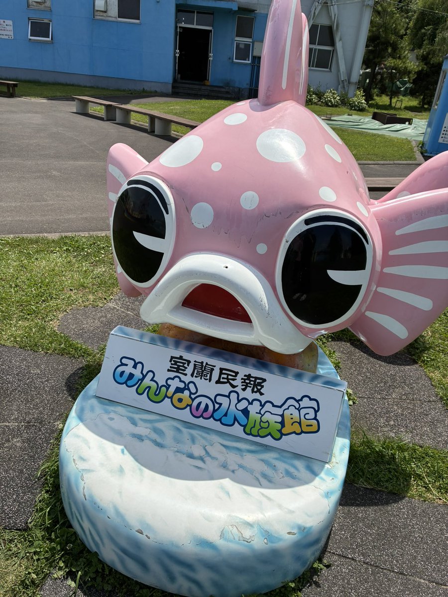 chachachachason's tweet photo. こぢんまり水族館たのしかった🪼 https://t.co/AGZqBL0LP2