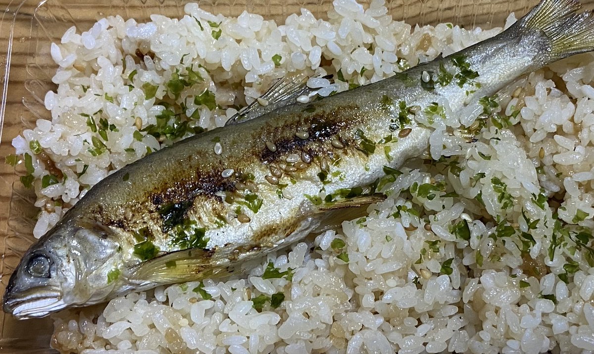 ccb910's tweet photo. 今日はあめ薬師縁日だった
狸穴おか田さんの
鮎ご飯が販売されていて👀

気になっていたお店で
購入させてもらいました！

かためでしっかりしたご飯
好き😊
鮎が酒のつまみになりますね♪

玉子焼きも甘くて美味しかった

ご馳走様でした🙏😋

#狸穴おか田
#鮎ご飯
#秩父 https://t.co/n7KUNF1u8W
