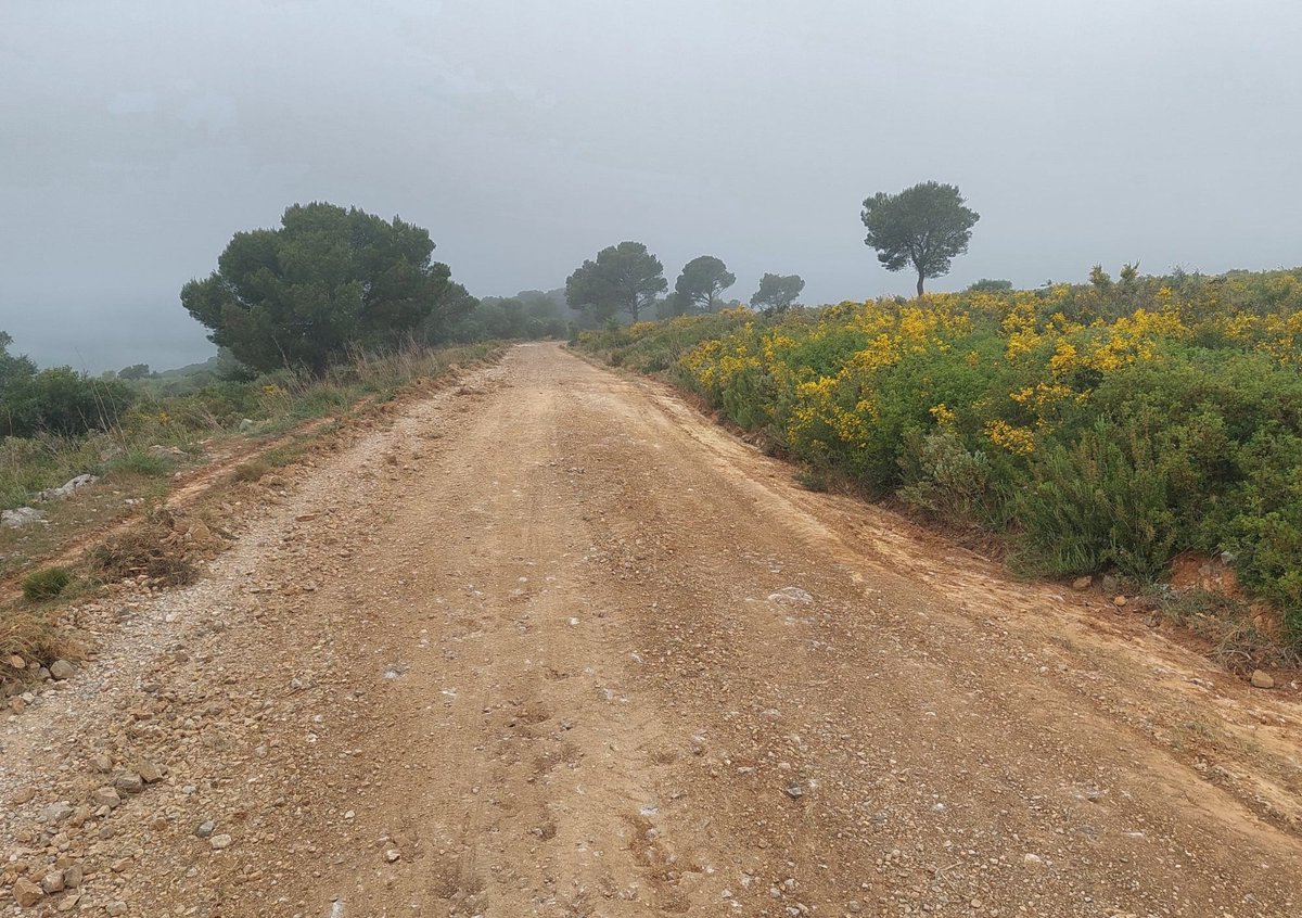 AjTorroella's tweet photo. 🌿🔥 L'ADF Montgrí destina una donació del Grup de Defensa del Montgrí a millorar la prevenció d'incendis al massís
👉https://t.co/rxjldZpGC6
#SomSostenibilitat #SomTorroella #SomlEstartit https://t.co/JH3yiAHRFG