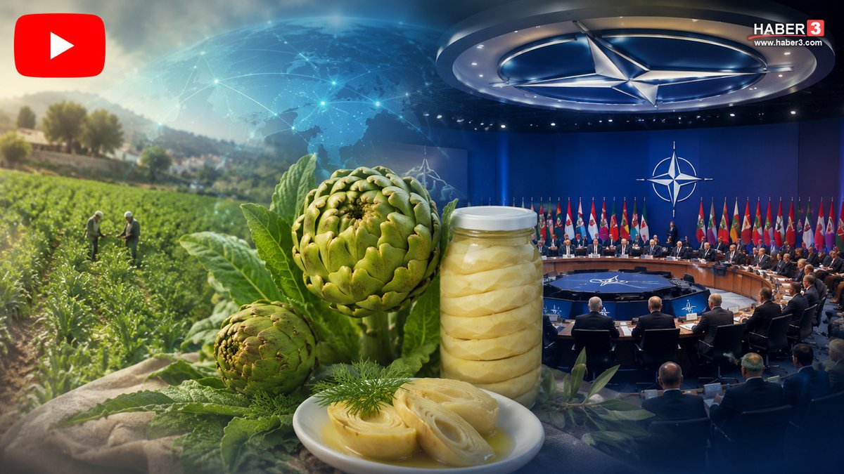 haber3com's tweet photo. Ankara’da düzenlenen 36. NATO Zirvesi'nde dünya liderlerine İzmir'in coğrafi işaretli lezzeti Urla sakız enginarı ikram edildi. Ata tohumuyla geleneksel yöntemlerle yetiştirilen bu eşsiz lezzetin küresel vitrine… https://t.co/QqnHOD5u8I #NATO #Ankara #Urla #Lezzet #Enginar https://t.co/8CXeg1Xxw8
