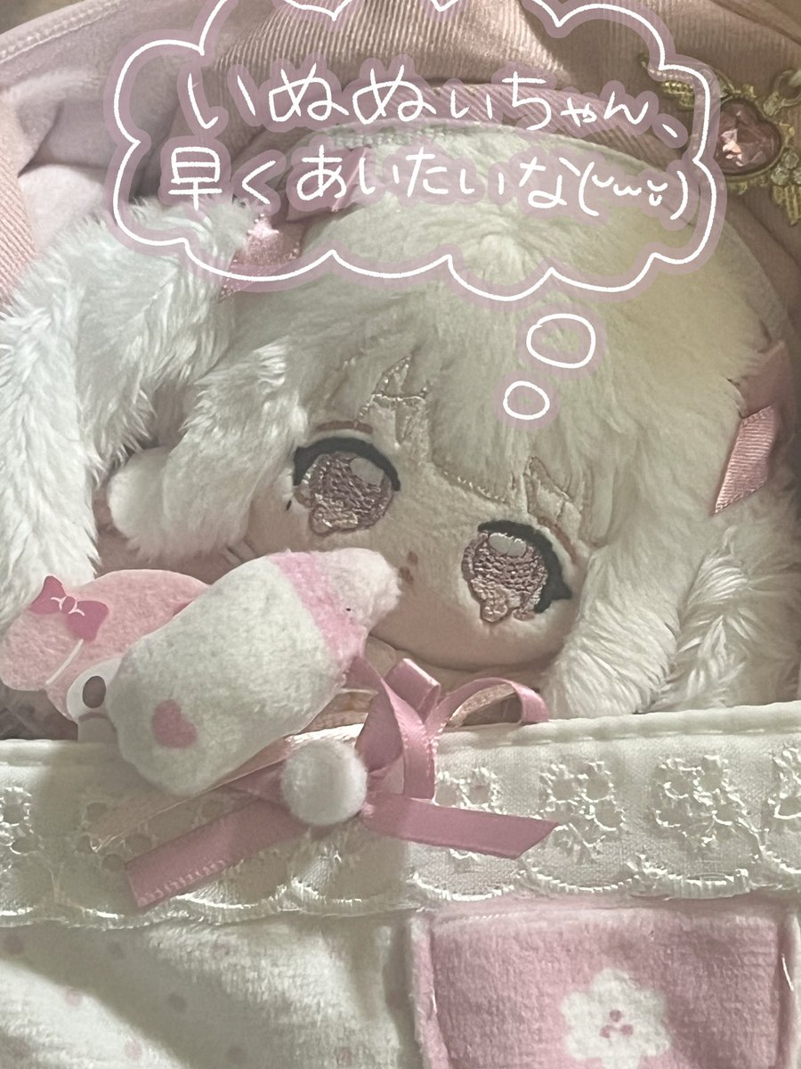 cat_necho's tweet photo. https://t.co/Q1cc6GvRFB