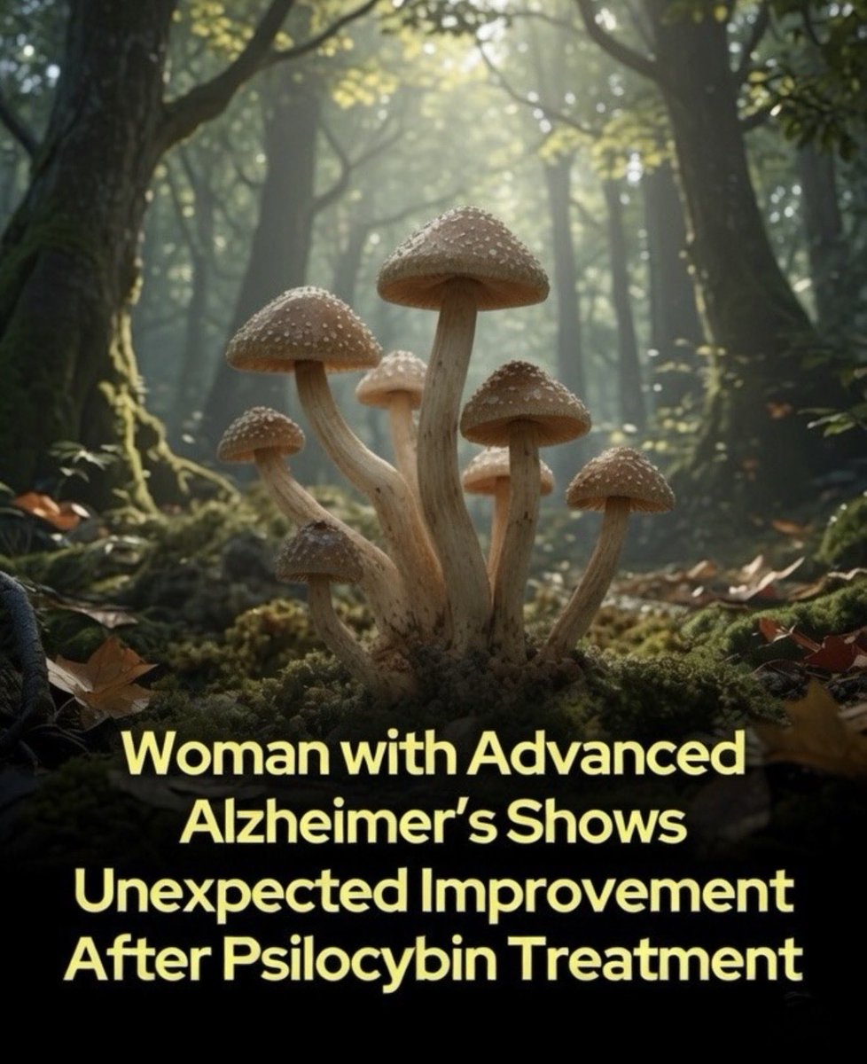 sciencegirl's tweet photo. A remarkable case report has drawn attention after an elderly woman with advanced Alzheimer’s disease appeared to show unexpected improvements following supervised treatment with psilocybin mushrooms.

The woman, a Japanese American in her 80s, had experienced progressive cognitive decline for around ten years. During the previous five years, she was largely limited to speaking single words, relied on others for everyday activities, had difficulty walking and dressing herself, and experienced persistent urinary incontinence.

Under professional supervision, she received a 5-gram dose of psilocybin-containing mushrooms.

Within approximately 19 hours, her caregivers noticed significant changes. They reported that she began speaking in full sentences, reminiscing about past experiences, and interacting more with those around her. Over the following days and weeks, she became more engaged, recognized family members, walked with greater independence, dressed herself, and even regained bladder control.

A month later, she underwent a second supervised session using a 3-gram dose. Caregivers again observed improvements in her speech, mobility, and overall responsiveness.

Although these observations are striking, they should not be interpreted as evidence that psilocybin can cure or reverse Alzheimer’s disease.

This describes only a single patient rather than a controlled clinical study. Her Alzheimer’s diagnosis was made from her medical history and clinical assessment, without confirmation using brain imaging or biomarker testing such as spinal fluid analysis. The report also lacked standardized cognitive assessments before and after treatment, a comparison group, and any evidence that the underlying brain changes associated with Alzheimer’s had been repaired.

Even so, the case has generated scientific interest.

Psilocybin primarily acts on serotonin receptors in the brain and has demonstrated effects in laboratory and animal research on neuroplasticity, communication between brain networks, inflammation, and the formation of new connections between nerve cells. Some scientists speculate that these changes might briefly improve the efficiency of remaining healthy brain circuits, allowing abilities that had become difficult to express to emerge more clearly. However, this idea remains a hypothesis and has not yet been confirmed in people with Alzheimer’s disease.

It’s also important to remember that psilocybin is not without risks, particularly for older adults or those with significant medical conditions. In this case, the woman reportedly experienced excessive sweating, a possible fever, and an unusually prolonged sleep-like period after treatment.