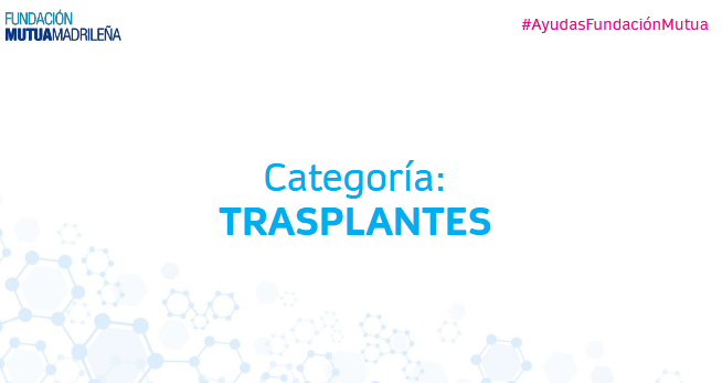fundacionmutua's tweet photo. A continuación, detallamos los proyectos beneficiarios de nuestra XXIII Convocatoria Anual de #AyudasFundaciónMutua a la Investigación Médica en la categoría de trasplantes. https://t.co/hRtN7vsuiJ