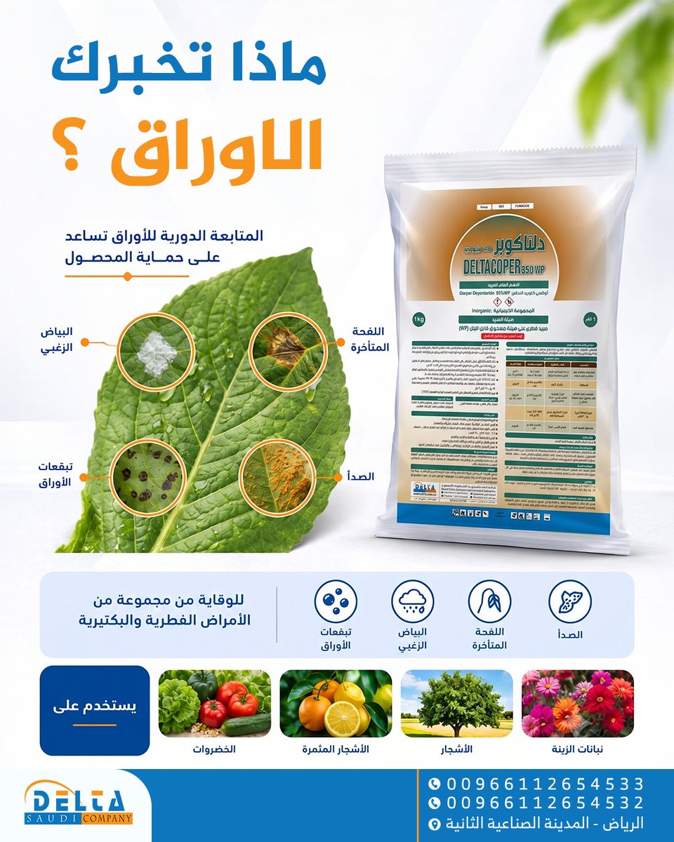 Delta Saudi Company tweet media
