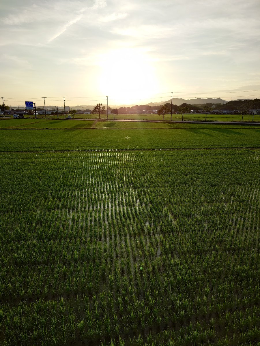5904kamera's tweet photo. 今日、＃近畿地方梅雨明け　しました。

ただ、曇りベースの空で　＃夏のギラギラと言う暑さは感じません！　＃梅雨明けしたとい感覚有りません！

今年の梅雨は､梅雨の中休みも少なかったです。

ただ、＃雷を伴う激しい雨も降りませんでした。

＃しとしと雨　が続きました。

それと、＃夕焼け　が一度も無かったのが変でした！