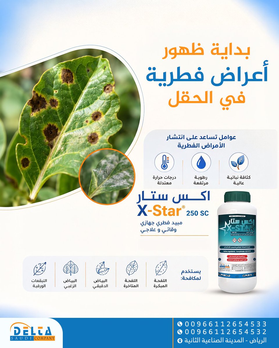 Delta Saudi Company tweet media