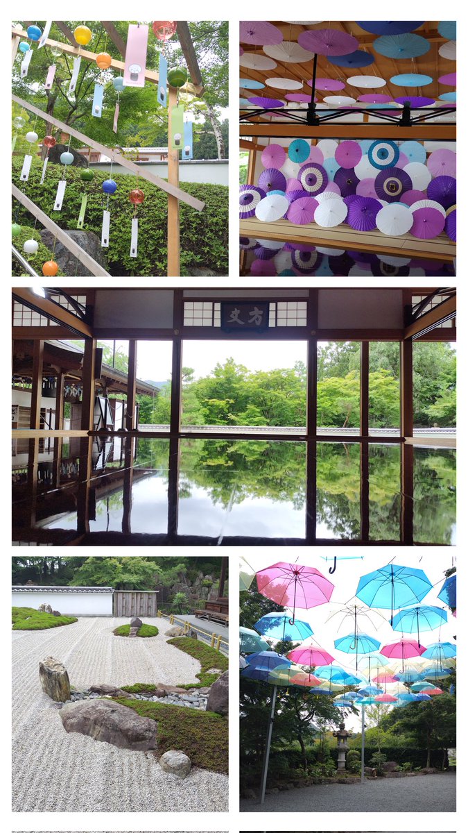 if0508if's tweet photo. 7/8(水)の終わりかけでーす

今日は群馬県の宝徳寺さんに行ってきました！
凄く綺麗な風景に癒されました✨
途中他の観光客の人が風鈴に触れてしまい沢山割れてしまったのを見たけど…風鈴に触れてはいけません！

ってな感じでこんばんは😉 https://t.co/TujDVaaA2A