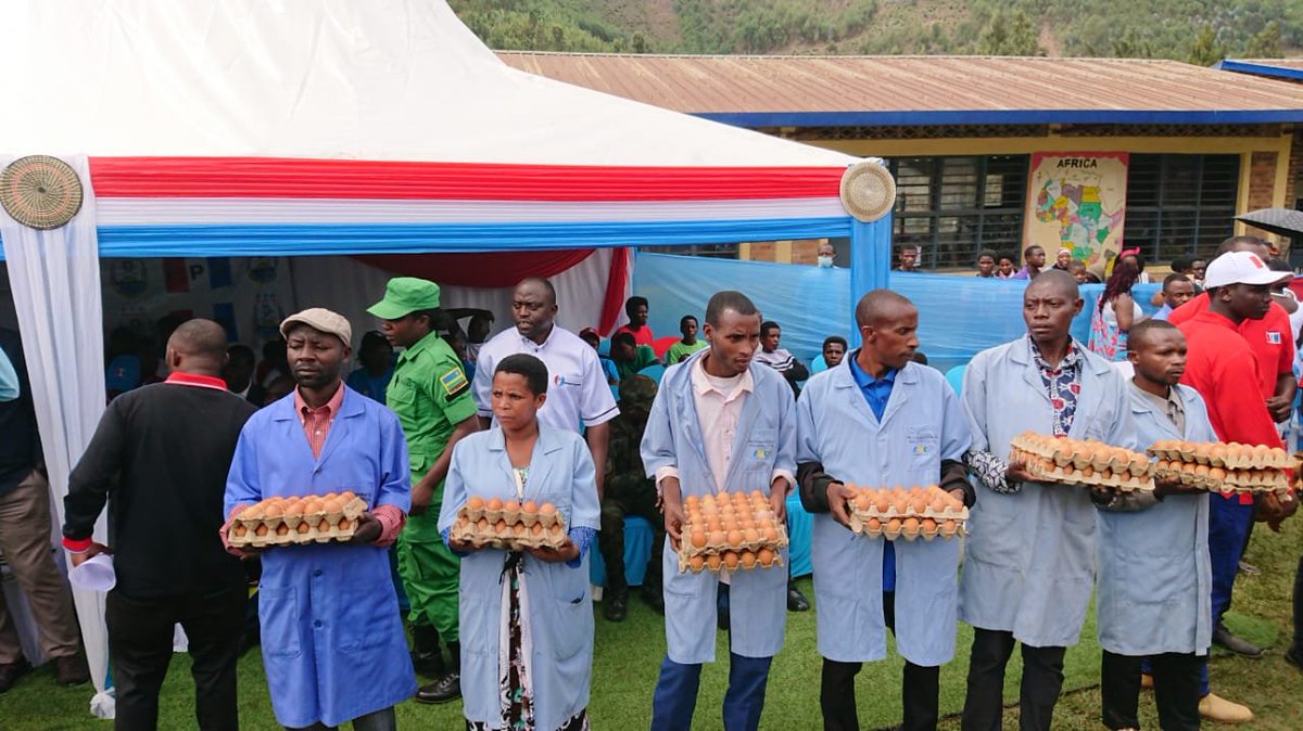 radioishingiro's tweet photo. Uyu munsi tariki ya 08 Nyakanga 2026,  Abanyamuryango ba RPF Inkotanyi bo muri kaminuza y'ubugeni n'ikoranabuhanga ya Byumba @UTAB_BYUMBA mu karere ka Gicumbi, bagiye mu murenge wa Ruvune  mu gikorwa cyo kuremera imiryango 200 yo  muri uwo murenge ifite abana bagaragaweho imirire mibi n'igwingira.

Muri iki gikorwa, iyo miryango yahawe inkoko zitera amagi,  buri muryango wahawe amagi 30 azafasha aba bana mu gihe izi nkoko zizaba zirimo gutera.  

Hanatanzwe imbuto z'ibishyimbo zizafasha AMARERERO guhinga,  hatanzwe kandi inyunganira mirire irimo ifu y'igikoma,hanishyuriwe imiryango 40 ubwisungane mu kwivuza.@rpfinkotanyi @gicumbi_rpf @gahundemaurice @NzabonimpaEmmy @HEC_Rwanda @rwanda_edu.