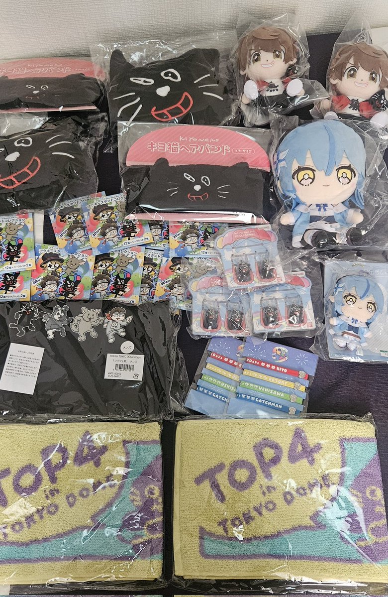 enryu9029's tweet photo. TOP4の東京ドーム行ってました https://t.co/pplwcZ6mB5
