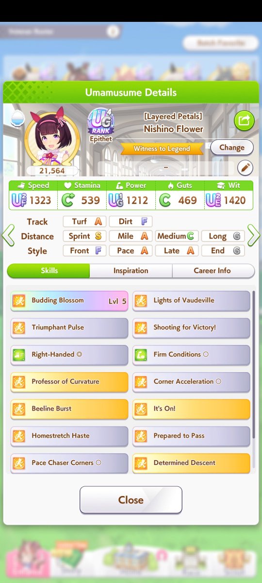 agonZUA's tweet photo. Anyway, I'd rather enjoy Unity 2.0 casualty till Grand Live release, improving my tt umas ever so slightly or running careers of umas I haven't done yet or haven't touched since og ura/unity so this is probably my CM16 line up. I don't feel like hunting for sprint S on Taiki. https://t.co/psUdSf8xNT