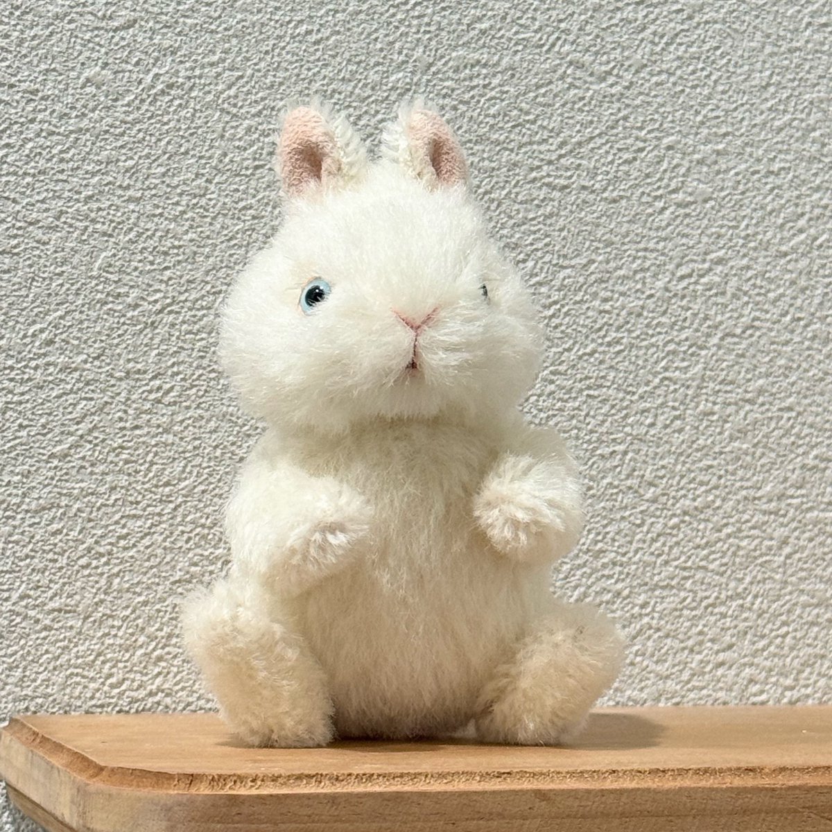 Bonita Rabbits🐰 (@rui0104457516) / X