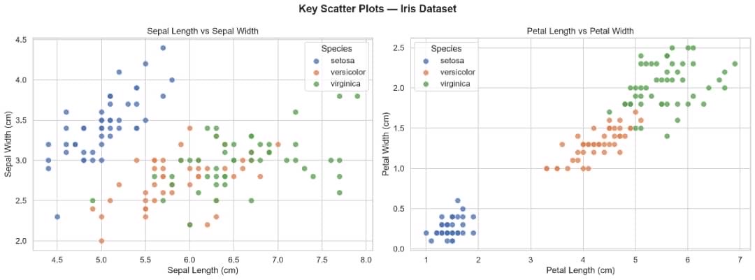 NrsData's tweet photo. Level 1 Task 2: EDA
Exploratory Data Analysis is where the data starts telling its story 📖
📊 Histograms
📦 Boxplots
🔵 Scatter plots
🌡️ Correlation heatmaps
The Iris dataset separates beautifully by species. Nature is consistent 🌸
#Data #intern
#EDA #Seaborn #Matplotlib https://t.co/GaUAZuilgX