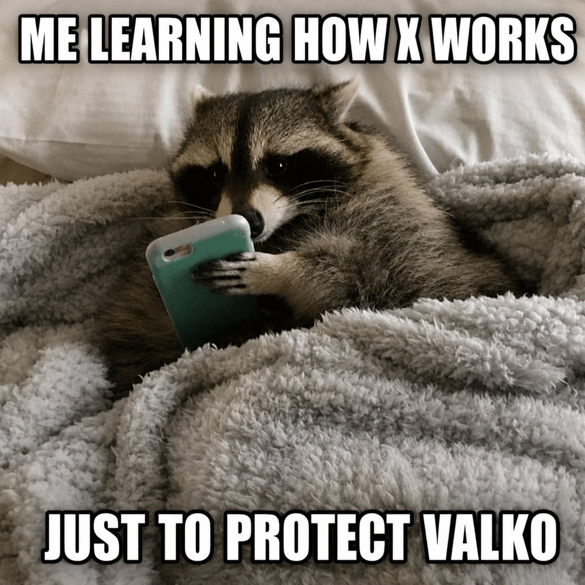 MisaChapters's tweet photo. I just discovered the “Mentions” tab—

I’M SO SORRY OMG 😭

I didn’t mean to ignore anyone!
I’m just a lost, old (apparently) &amp; little raccoon on this app 😭🦝
I’m learning for Valko, I promise!

#BringValkoBack #KeepValkoAlive #Valko #JusticeForValko #SaveValko #BringBackValko https://t.co/e8gBTAogId
