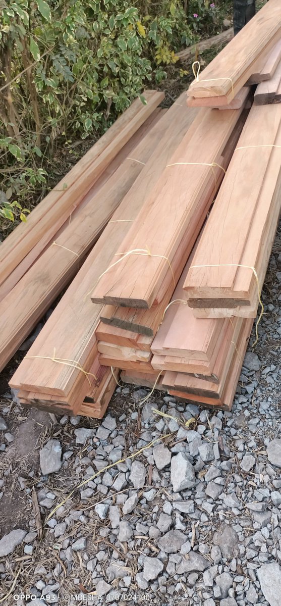 mmbesha94s1's tweet photo. Full Guage & Zero Moisture Doorframes delivered at Isinya Kajiado County.
Thankyou KOX for Believing In Us.
☎️0707024100
📍 Gikomba, Nairobi CBD & Waiyaki Way
2025 KCSE Switzerland KTN Apologizes Market Delivered #MeatValueChain Gucaina Na Muchina #MuchinaForMp Argentina Ruto https://t.co/dnCor9GeNi