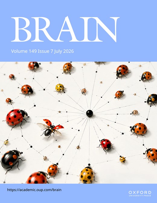 Brain tweet media