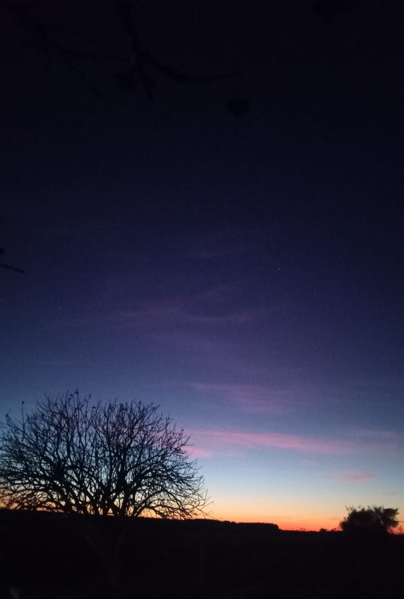 Maleojeda676's tweet photo. Hermosa mañana no verdad 🤣🤣🤣

🌡️8°C,ST 6°C💧73%🌬️norte 10km .... ☀️🧥👟👟👖🧤🧣☕ https://t.co/ZoWkcgkjuZ