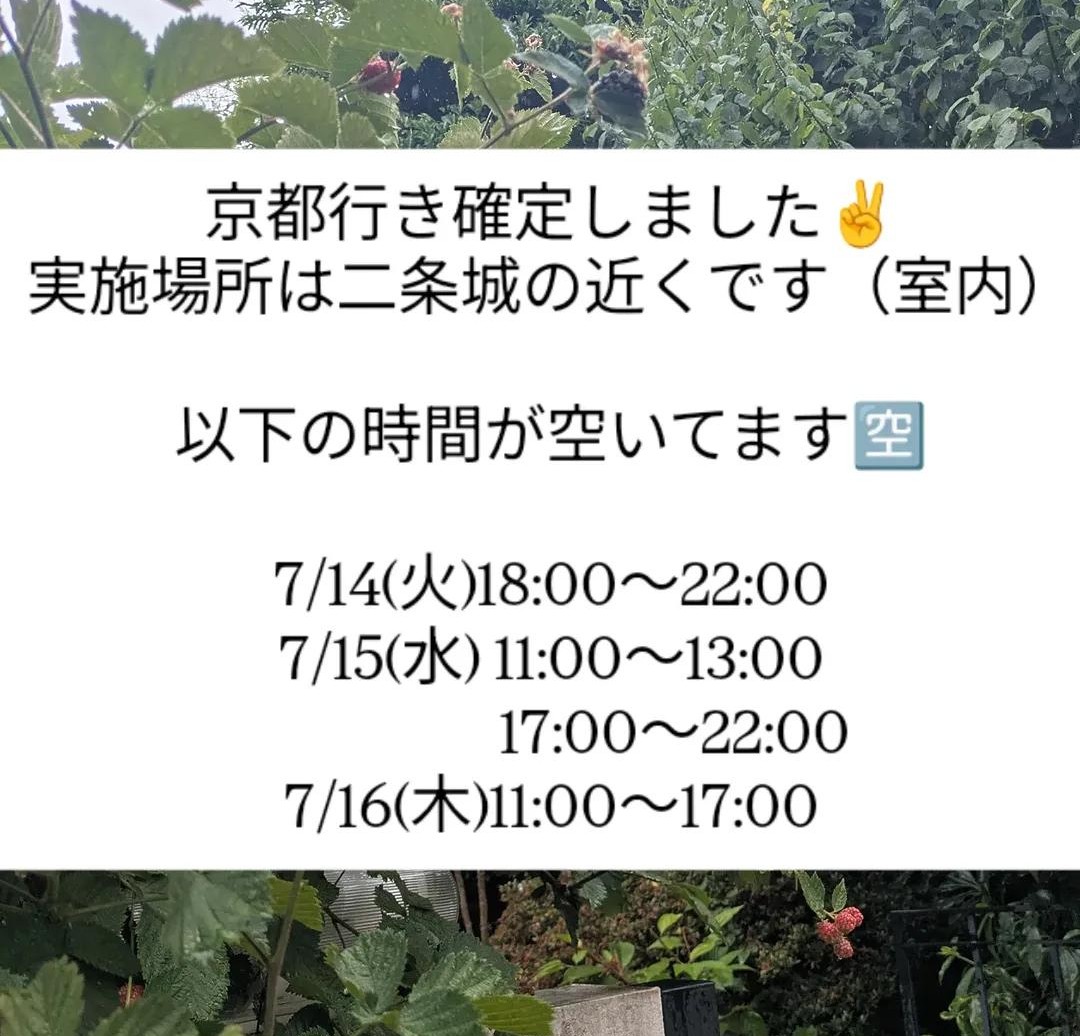 gohobraintrip's tweet photo. 来週、京都に行きます

🧠合法ブレイントリップ
🐉空ルート
🗝️トラウマ解除
どれでも可能です
（松果体覚醒オプションも持参します）

ご予約希望はDMかLINEにご連絡下さい😊

⏬️現在の空き枠⏬️
7/14(火)18:00-22:00
7/15(水)11:00-13:00
                 17:00-22:00
7/16(木)11:00-17:00 https://t.co/cCuVn28qNw