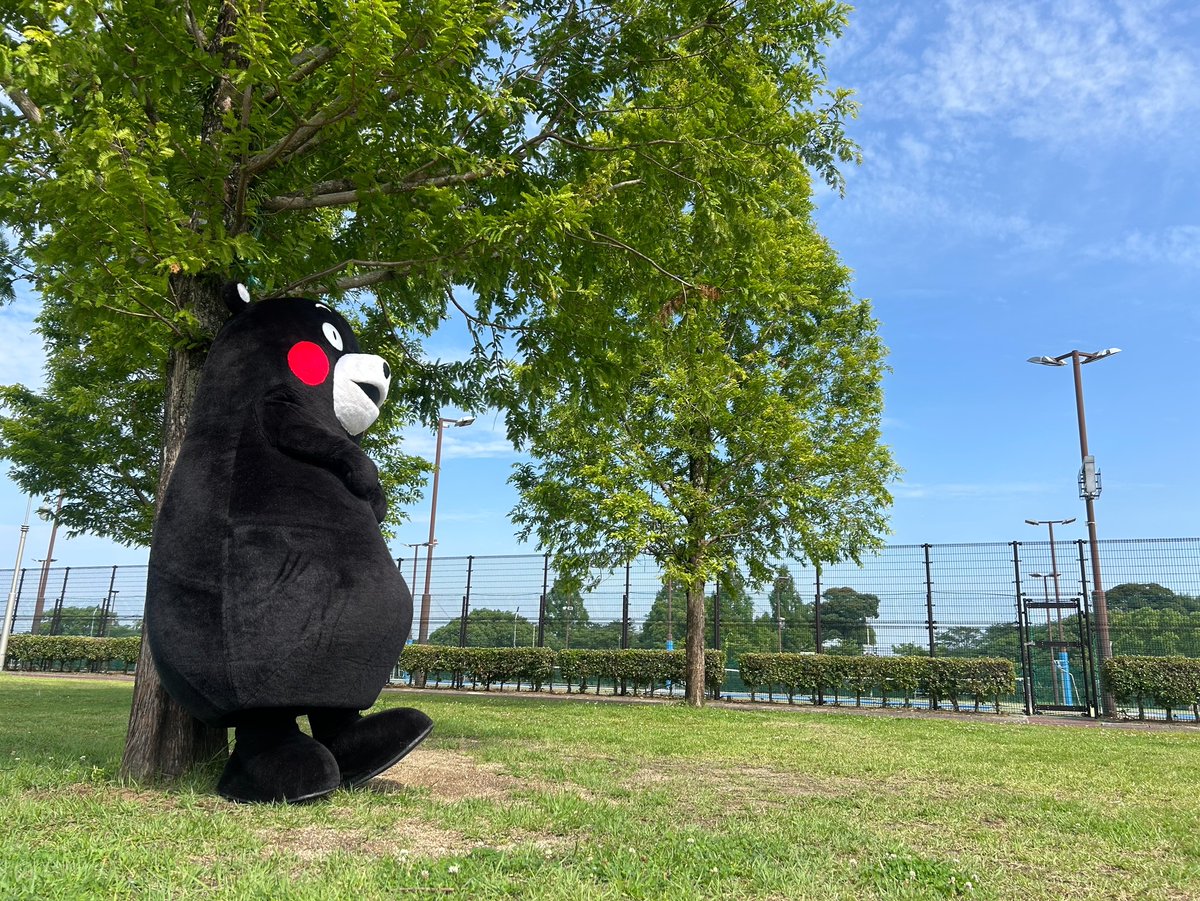 55_kumamon's tweet photo. おはくま〜！よ〜し、行くかモン☆ https://t.co/TgwI7twaQt