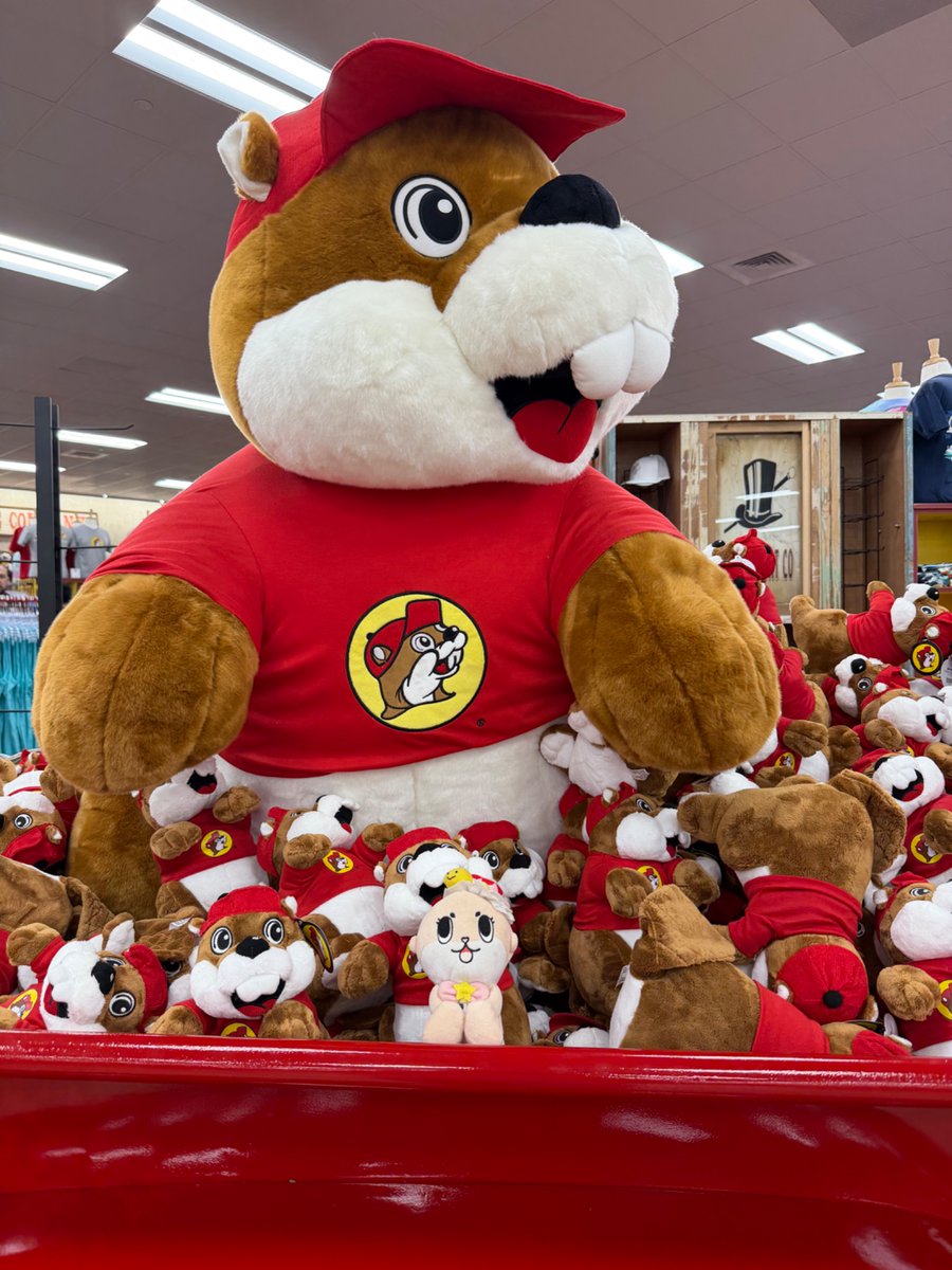 BentFork06's tweet photo. Went to Buc-ee’s for the first time so ofc i had to bring Chiitan. The two icons have been brought together😋 https://t.co/hzb1hXO7Iu