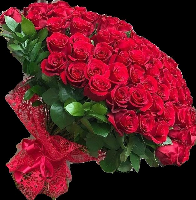 can50469218's tweet photo. @arashayal347911 https://t.co/a4uAV2Q1qr