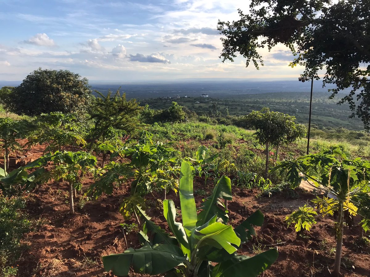 LayedInteriors's tweet photo. Some places deserve more than furniture... they deserve a soul.

High above the rolling hills of Mua Hills in Machakos County, where every sunrise paints the landscape and the Nairobi skyline glows on the horizon each night, we were entrusted with bringing a farmhouse to life https://t.co/EXYkUjhkRl