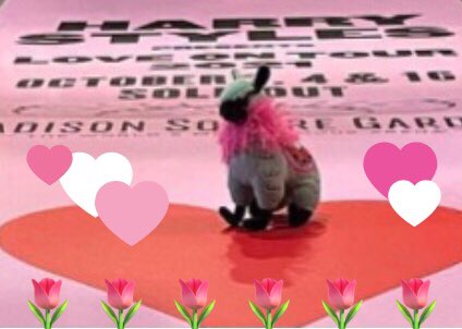 larrytsjwaffle's tweet photo. . ๐ท๐Attn MSG-Larries! ๐๐ท
Keep an ๐๏ธ out for a small, pretty llama. Her name is Doris. Sheโs MIA for awhile, known to frequent MSG grounds.
If you see her, pls tell her sheโs missed ๐
#discollama
#BabyGirlMIA
#stageleftDoris https://t.co/6kn0UlfSI1