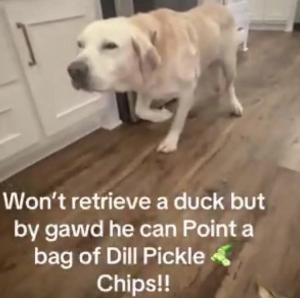 RespectfulMemes's tweet photo. https://t.co/39w8tmv5A8