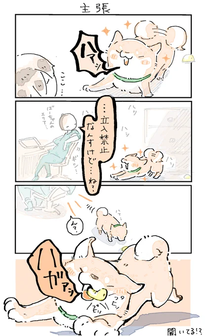 主張 