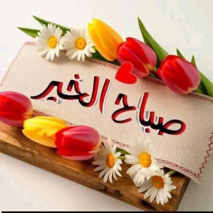 Sys421339Sys's tweet photo. @bbashq369 https://t.co/8m3RFkVlXO