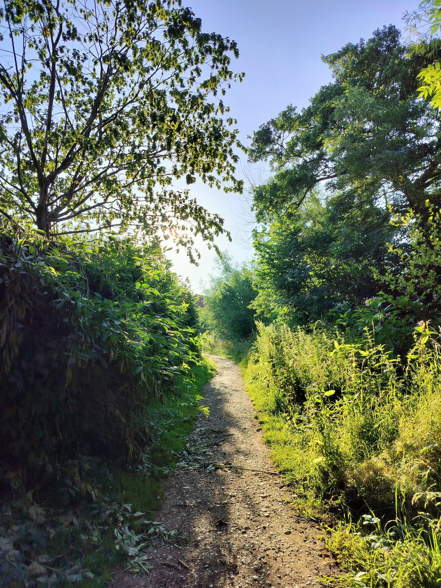 MillingtonSally's tweet photo. Morning 5km run
Exploring a new route at the folks on a beautiful morning. Following a path through an estate, up to some cottages, following The Coppice through the trees and back down Coppice Road.
Happy Wednesday! 😀🏃♀️
#Poynton #Running https://t.co/DeSmmXhuoZ