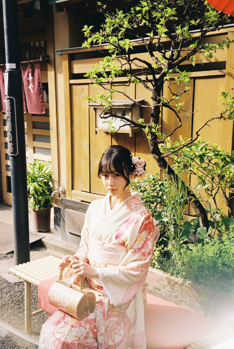 ravyoruki's tweet photo. 你如果不累 明年再去看樱花吧？ https://t.co/FXvr59eIVA