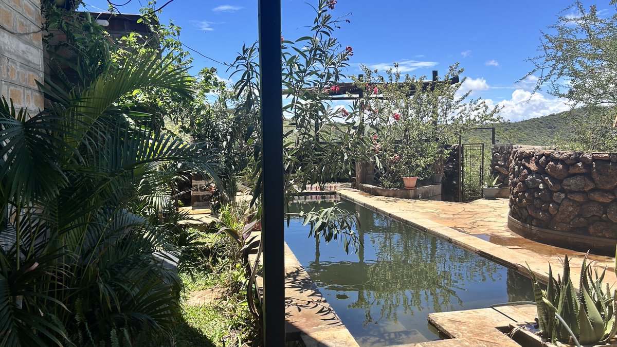 RaphaelMirera's tweet photo. Bought a rundown plot on a Rift Valley ridge in 2019. Planted 5,000+ trees. Built a house by hand with Maasai artisans I trained myself. Now it's open for guests who want real solitude and a view that goes 360°.

Meroi House — book here https://t.co/0qigmQ71kt https://t.co/shrtcmmts3