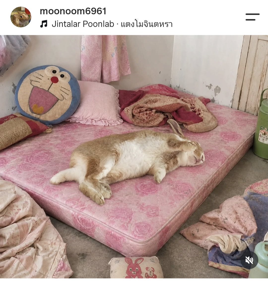 Raze0013's tweet photo. 😂😂👍👍
https://t.co/TenjhgW6Za

#miusic https://t.co/GOWLPpq9Jt