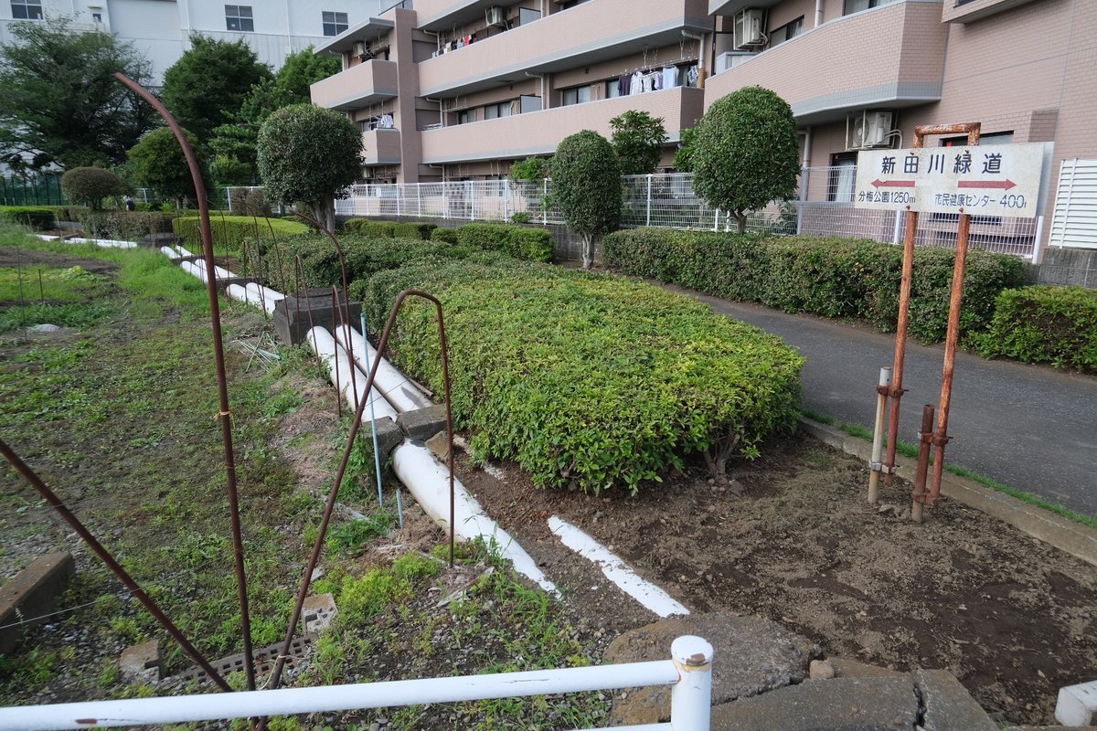 Taichan021's tweet photo. 新田川緑道そのまま行って、
サントリービール工場近くの田んぼにも通水されてるね！
しばらく行くと、地上に現れる暗渠がある https://t.co/WCHCFivtIX