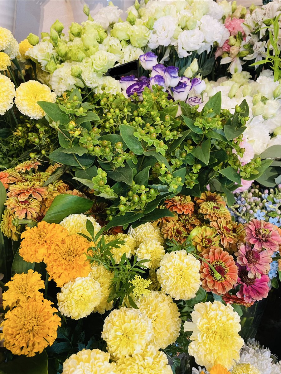 FlowerS48901380's tweet photo. 今日は少し蒸し暑いですね。
店内にはひまわり・ガーベラ・ユリをはじめ、この季節ならではの彩り豊かなお花がいっぱいです✨お盆に向けた切花やお盆商品も取り揃えております。ほおずきは数量限定です‼️ご先祖様への感謝の気持ちを心を込めたお花選びをお手伝い致します。#花屋 #近くの花屋 #水元 https://t.co/DhhjPnHvMb