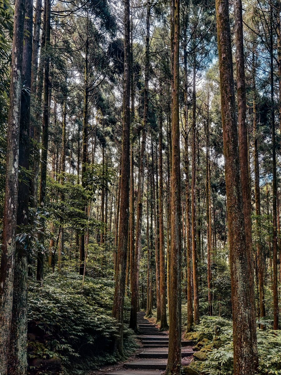 Bahakaimadara's tweet photo. https://t.co/H2lE3snz27