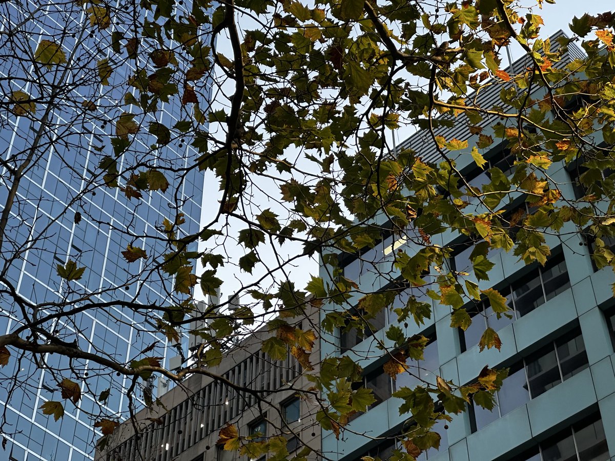 candiedbanshee's tweet photo. Nice walk every six months when one remembers of the existence of ‘collins street’ https://t.co/P77XTDt8xW
