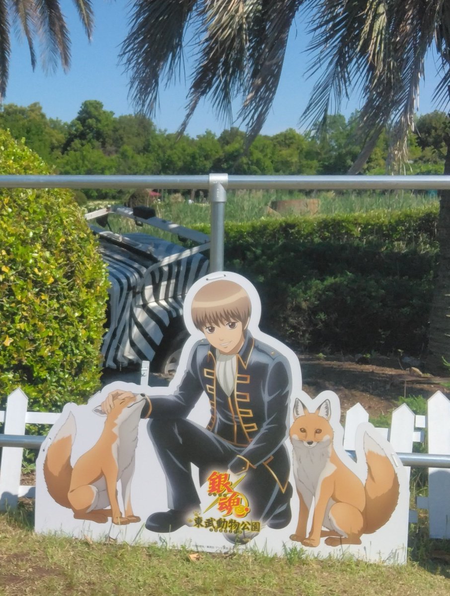 ㊗️沖田BIRTHDAY😏‼️ (土方BIRTHDAYに訪れた東武動物公園から) #沖田