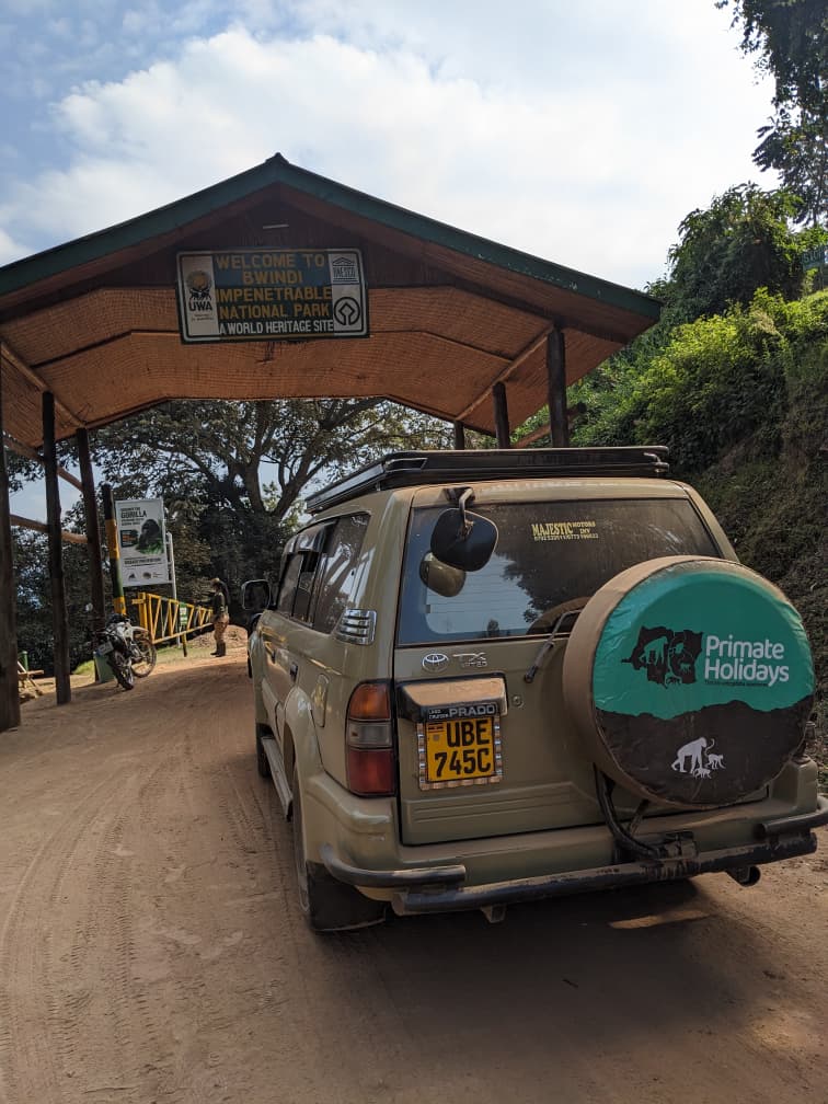 PrimateHolidays's tweet photo. 🦍Welcome to Bwindi Impenetrable National Park!

Behind these gates lies one of the world's greatest wildlife encounters - tracking endangered mountain gorillas through Uganda's ancient rainforest.

Adventure starts here.🌿

#Bwindi #GorillaTrekking #VisitUganda #PrimateHolidays https://t.co/AaCtgcAA9e